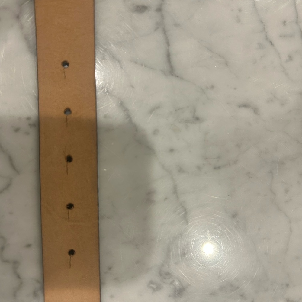 Women’s Carlisle size Large  1”skin belt. 37” length. lizard/snake grey tone - Picture 6 of 8